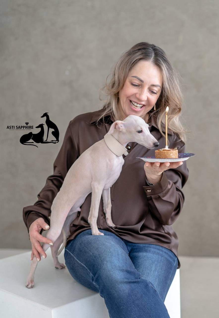 Casper boss & Clyde & Klaus. Профессиональный питомник левреток РКФ/FCI ASTI SAPPHIRE 💎 Сочи|Санкт-Петербург