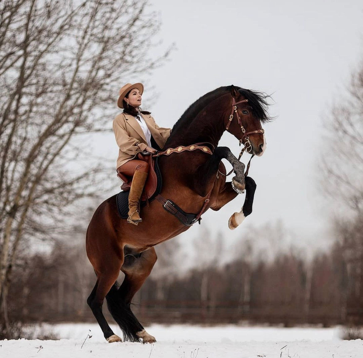 Портфолио и примеры работ с фотосессии с трюковыми лошадьми. Фотосессии с лошадьми в Москве от Конный фотографа Кутейниковой Светланы