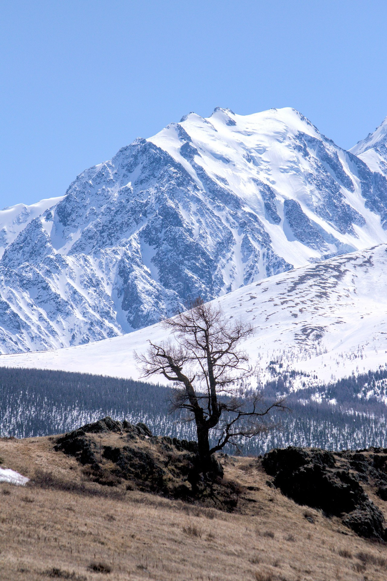 Джангысколь. Фотограф анималист, пейзажист, спортивные мероприятия. Новосибирск