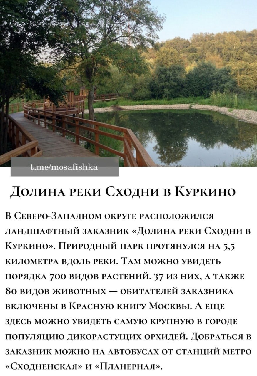 Локации для фотосессии в Москве