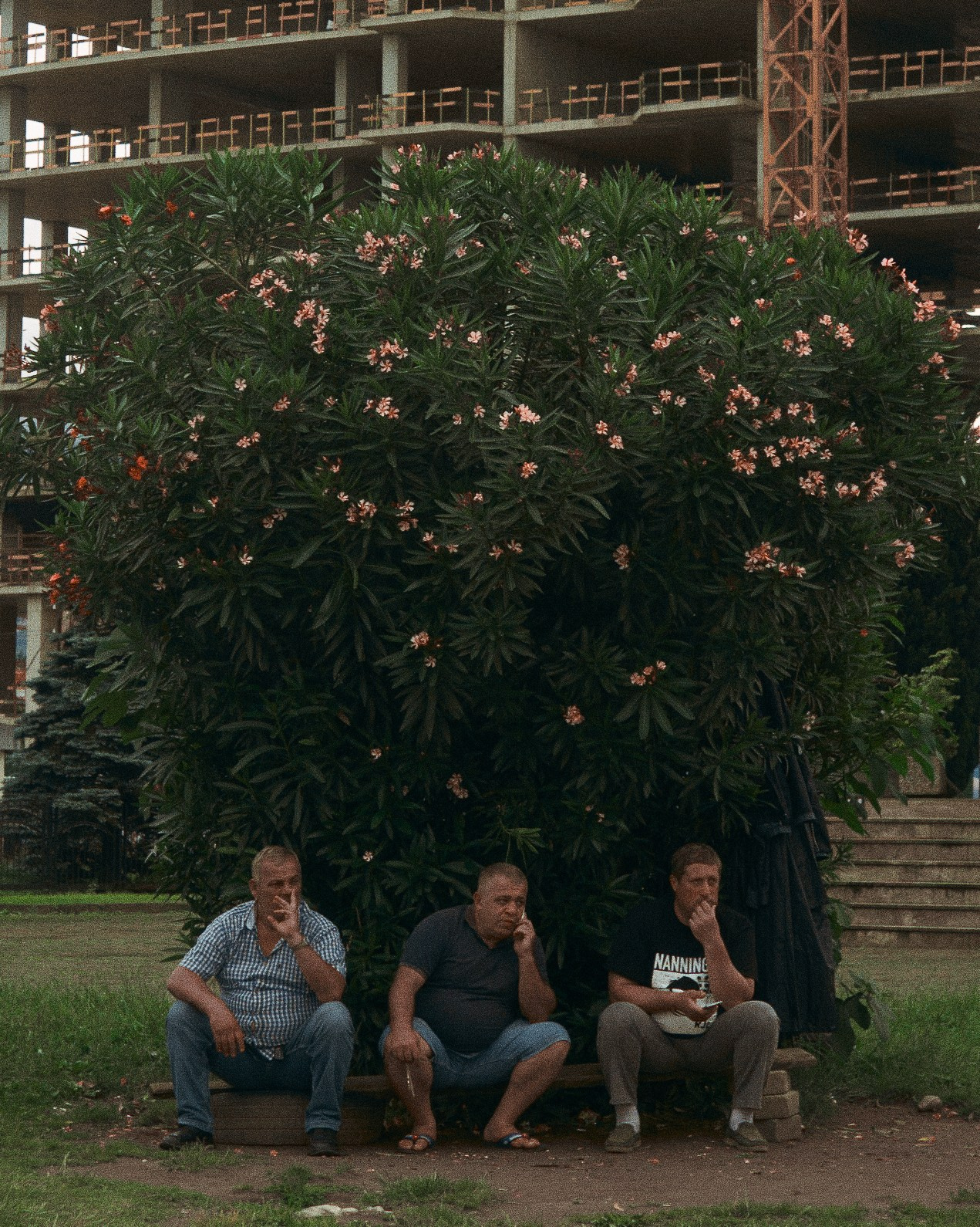 Грузия 22г. Фотограф и оператор мероприятий, концертов и портретов в городе Москва