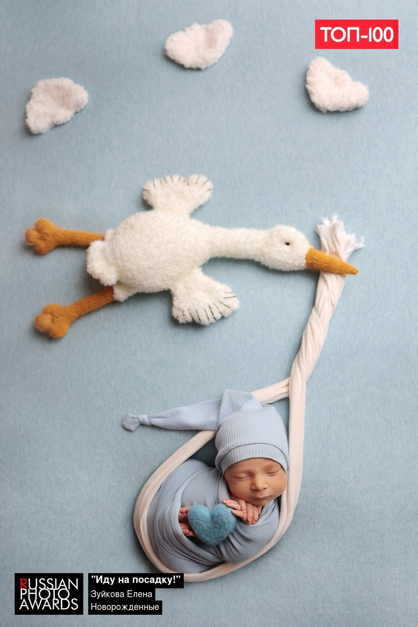 Созданная мной фотокарточка вошла в ТОП 100 Russian Photo Awards 🚀🔥💣. Фотограф Елена Зуйкова