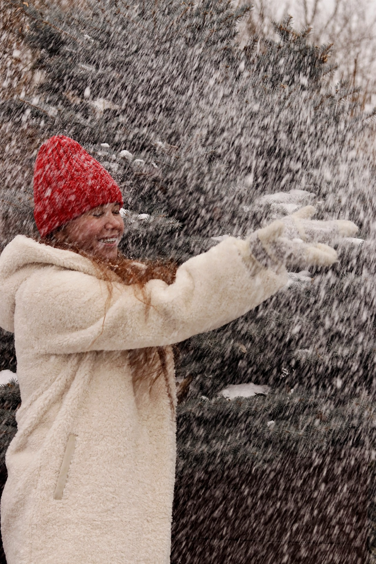 Времена года