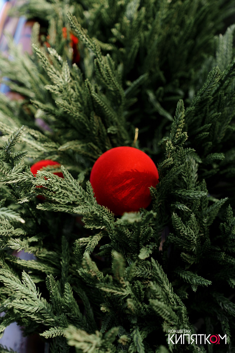 ART HOUSE. КИПЯТКОМ КОКШЕТАУ