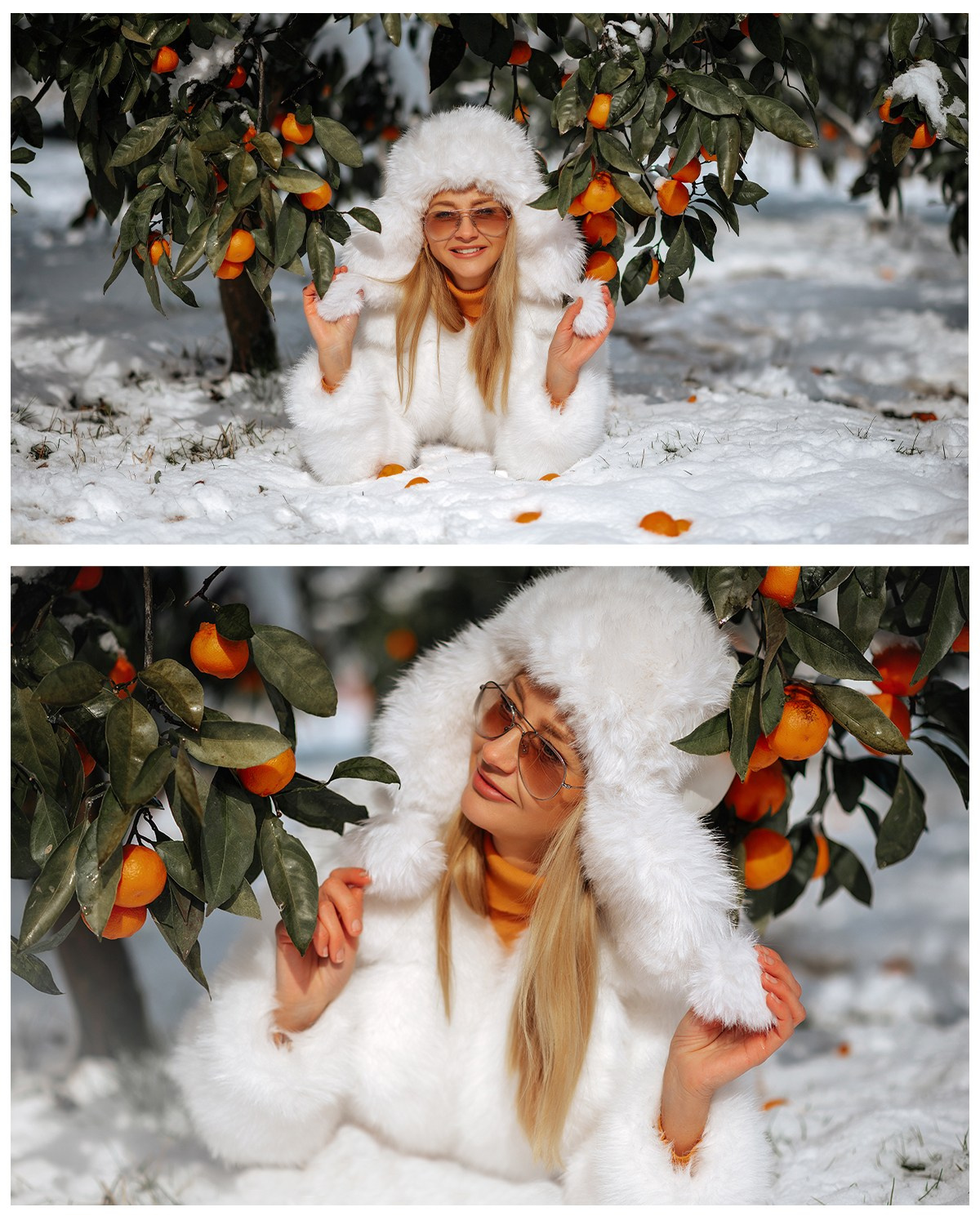 Мандарины. Фотограф в Крыму Дарья Колесник