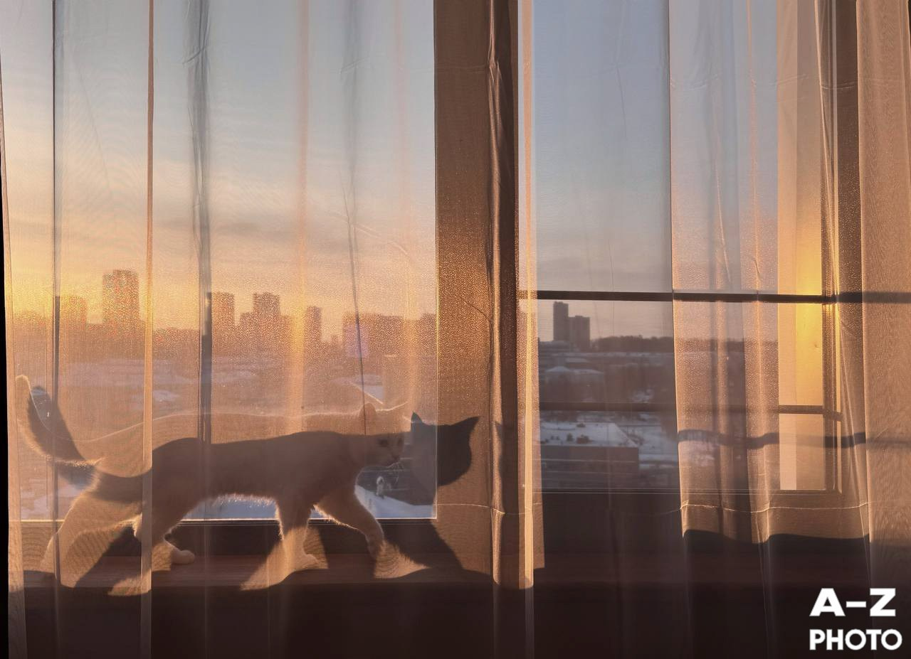 #ФОТОНЕДЕЛИ 05.01.2026. Женский семейный фотограф Тула Москва Захарова Анна