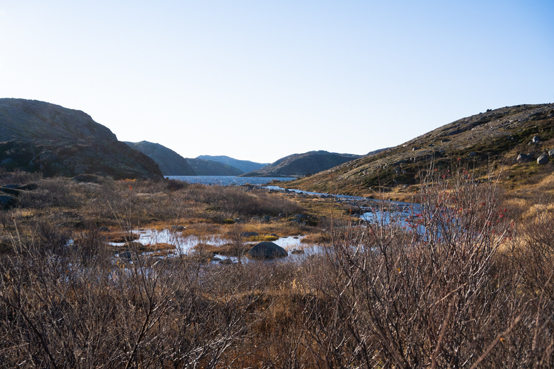 ТЕРИБЕРКА СИЯЕТ!. Фотограф в Белграде Чугреева Елена
