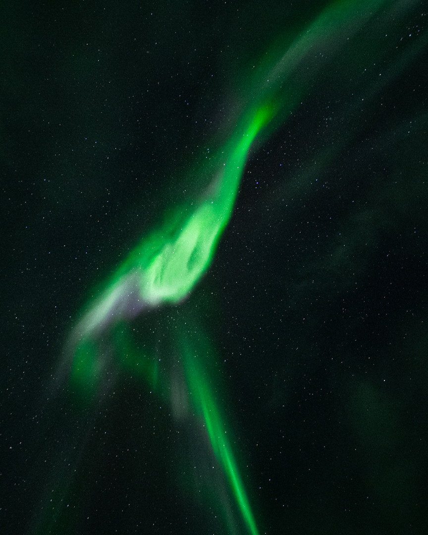 ТЕРИБЕРКА СИЯЕТ!. Фотограф в Белграде Чугреева Елена