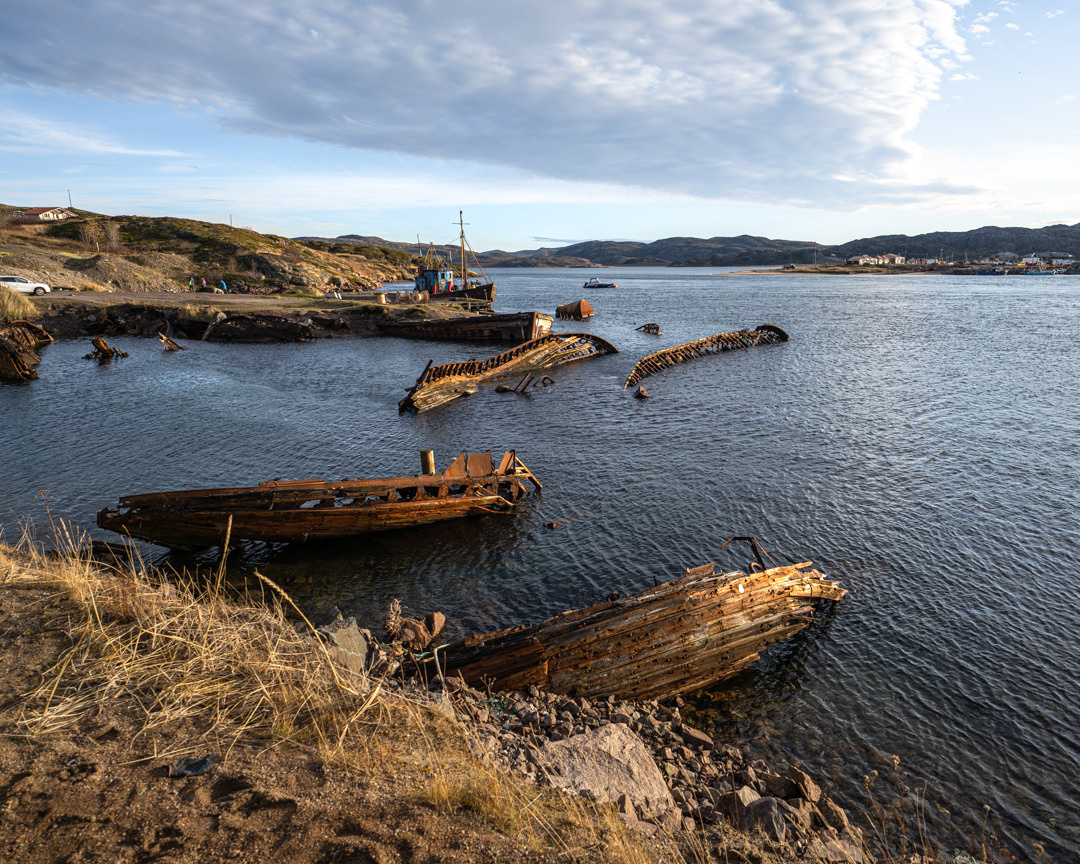 ТЕРИБЕРКА СИЯЕТ!. Фотограф в Белграде Чугреева Елена