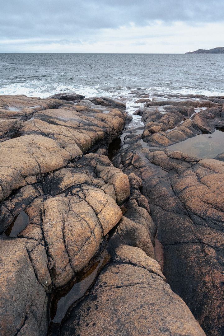 ТЕРИБЕРКА СИЯЕТ!. Фотограф в Белграде Чугреева Елена
