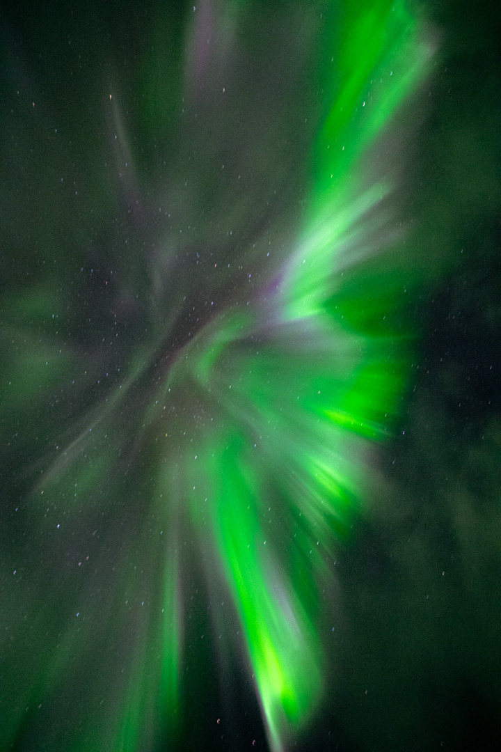 ТЕРИБЕРКА СИЯЕТ!. Фотограф в Белграде Чугреева Елена