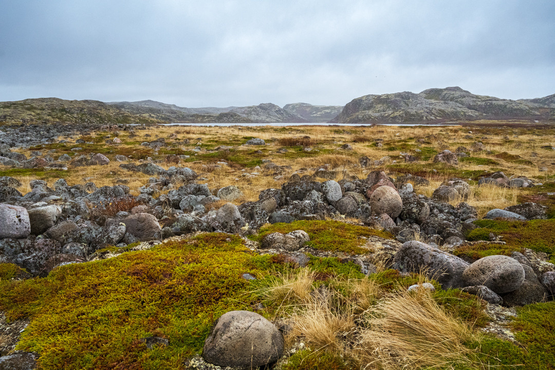 ТЕРИБЕРКА СИЯЕТ!. Фотограф в Белграде Чугреева Елена