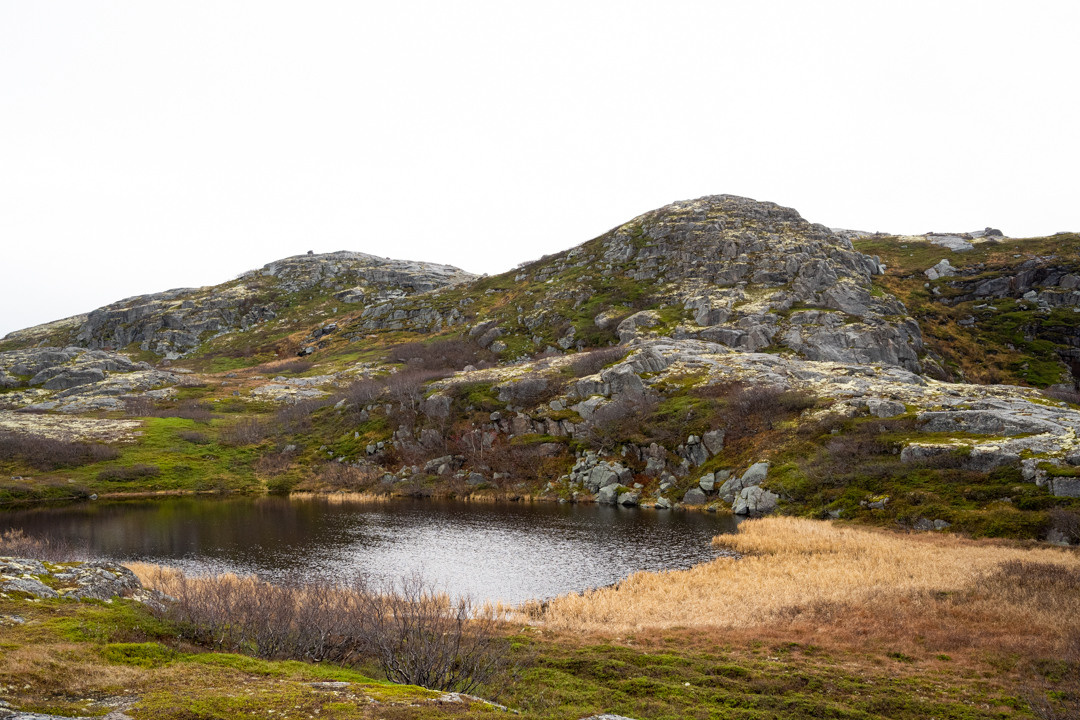 ТЕРИБЕРКА СИЯЕТ!. Фотограф в Белграде Чугреева Елена