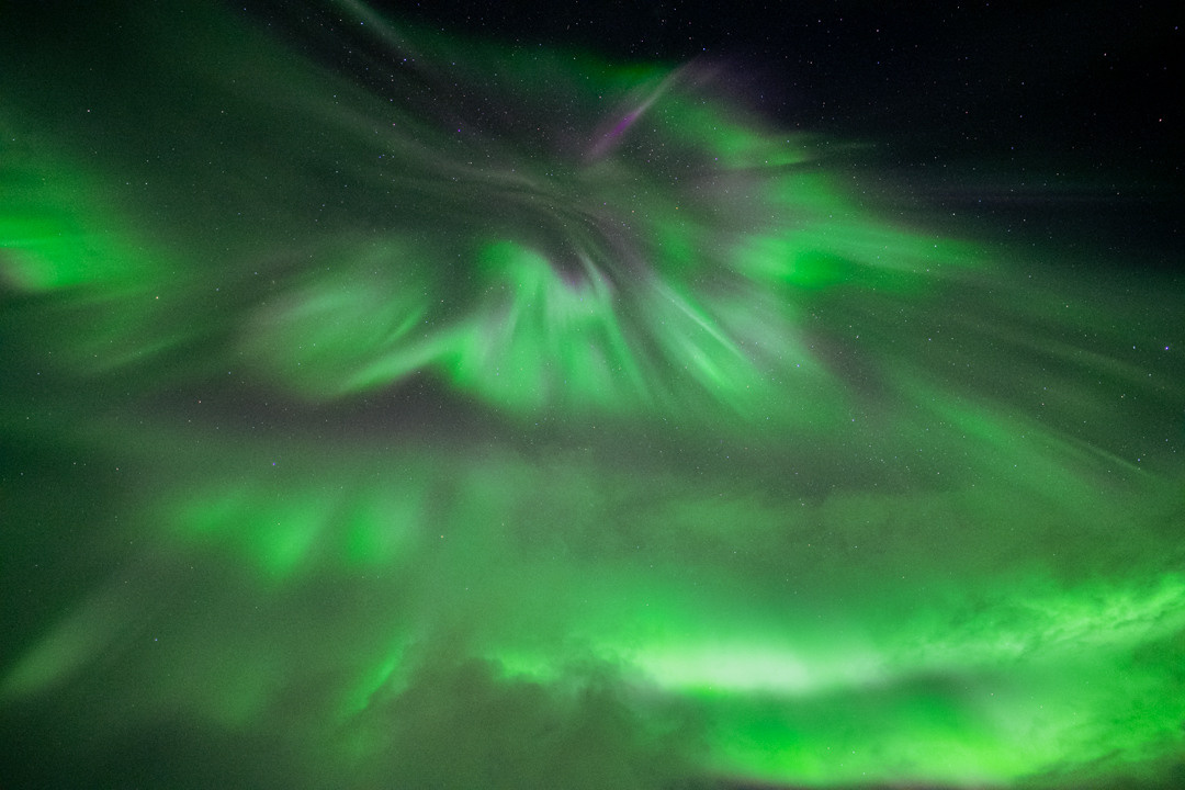 ТЕРИБЕРКА СИЯЕТ!. Фотограф в Белграде Чугреева Елена