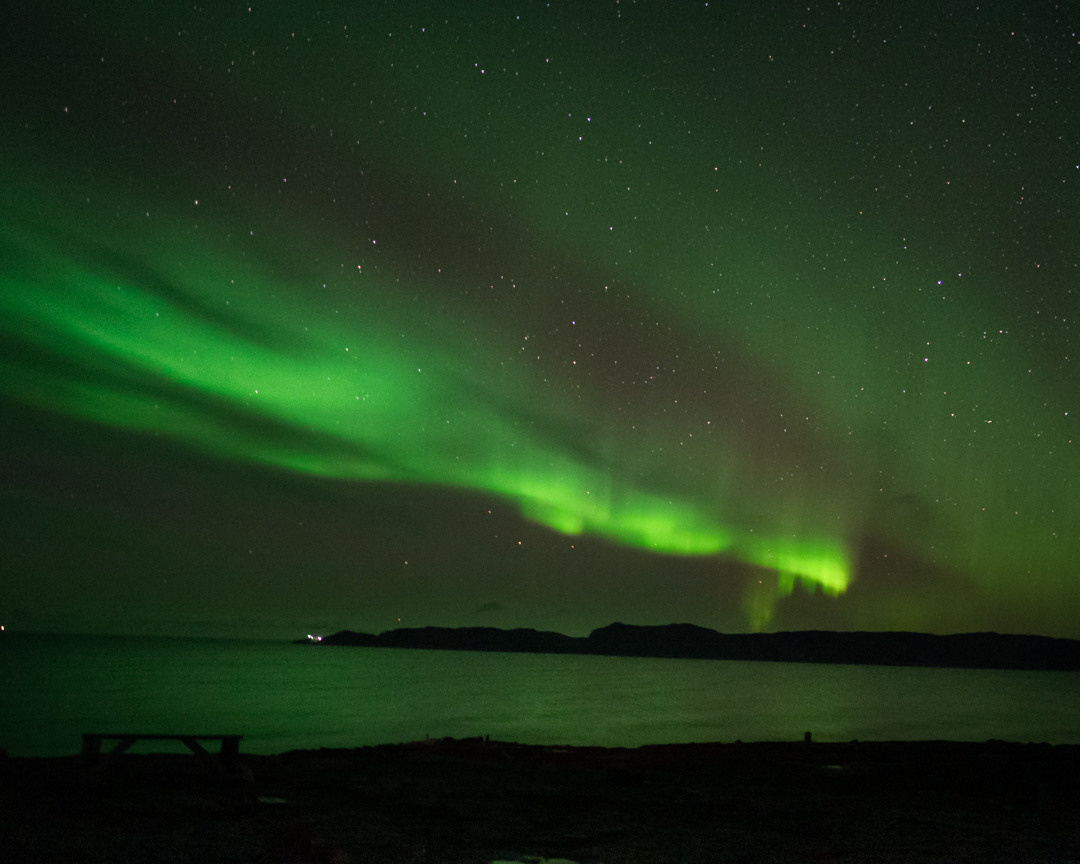 ТЕРИБЕРКА СИЯЕТ!. Фотограф в Белграде Чугреева Елена