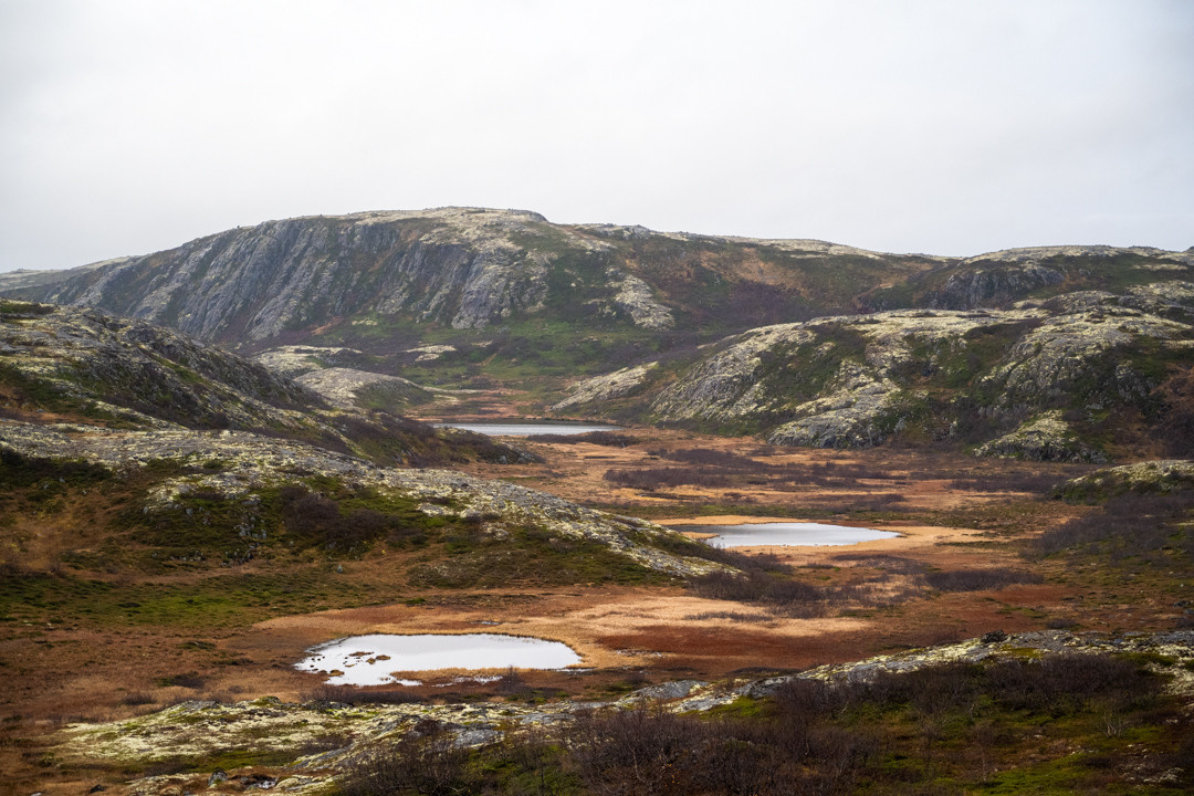 ТЕРИБЕРКА СИЯЕТ!. Фотограф в Белграде Чугреева Елена
