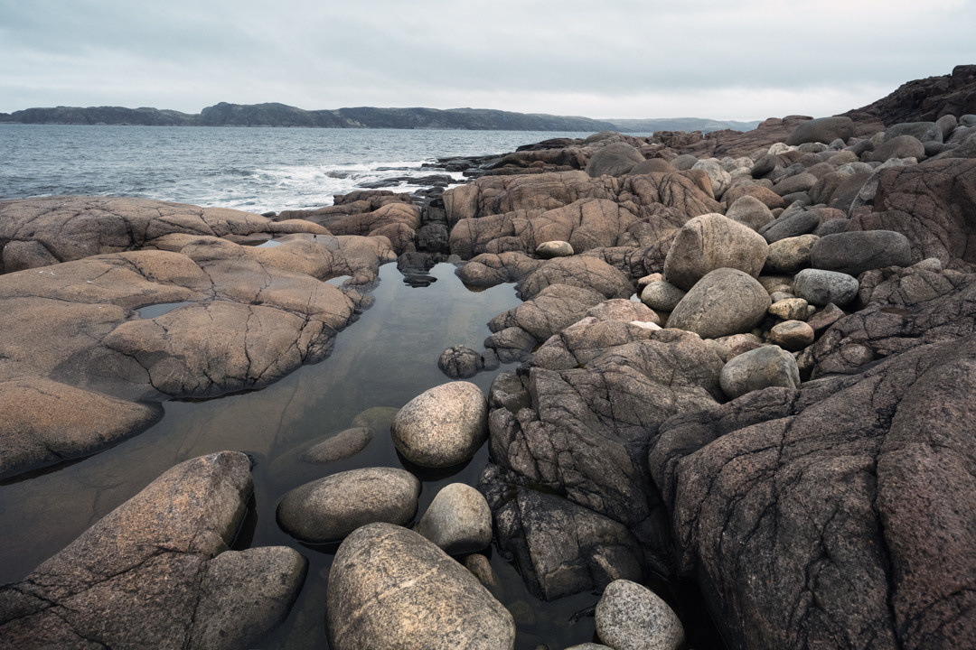 ТЕРИБЕРКА СИЯЕТ!. Фотограф в Белграде Чугреева Елена
