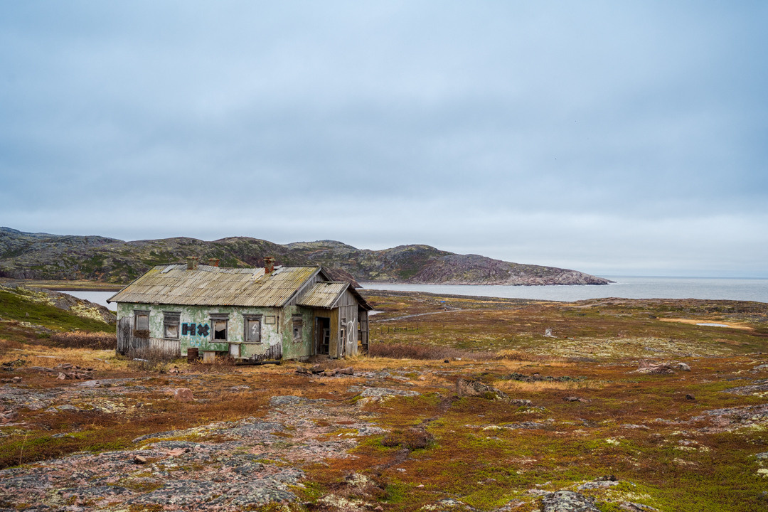 ТЕРИБЕРКА СИЯЕТ!. Фотограф в Белграде Чугреева Елена