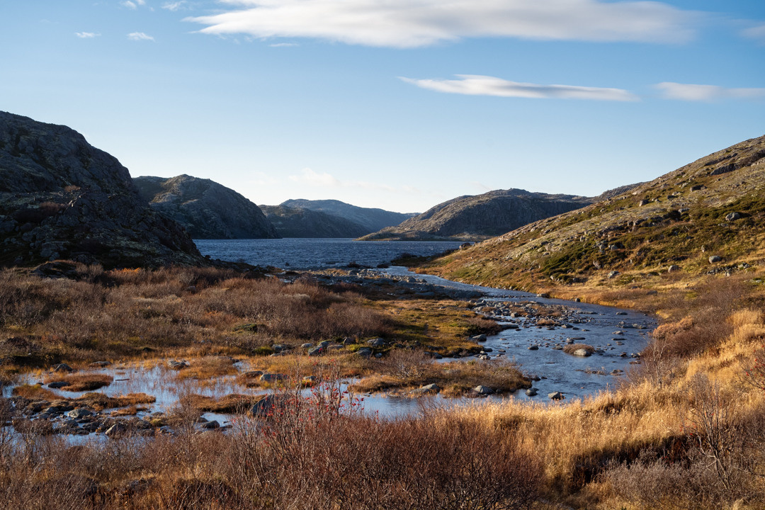 ТЕРИБЕРКА СИЯЕТ!. Фотограф в Белграде Чугреева Елена