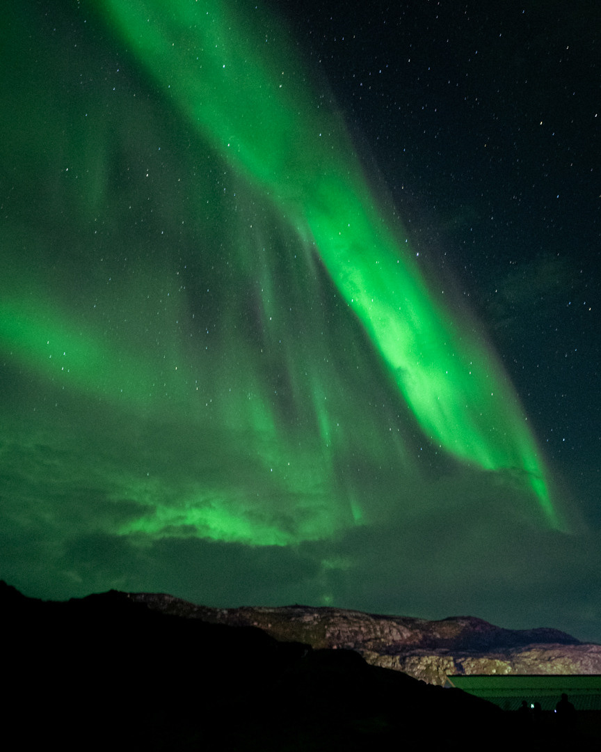 ТЕРИБЕРКА СИЯЕТ!. Фотограф в Белграде Чугреева Елена