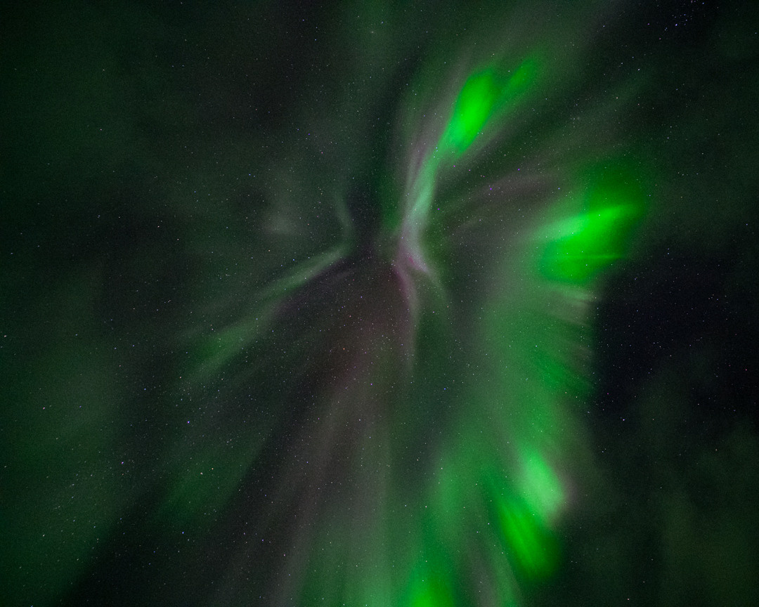 ТЕРИБЕРКА СИЯЕТ!. Фотограф в Белграде Чугреева Елена