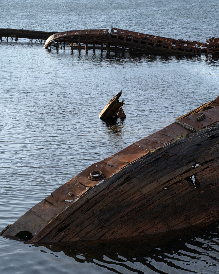 ТЕРИБЕРКА СИЯЕТ!. Фотограф в Белграде Чугреева Елена