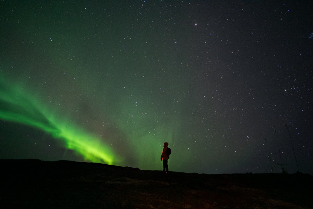 ТЕРИБЕРКА СИЯЕТ!. Фотограф в Белграде Чугреева Елена