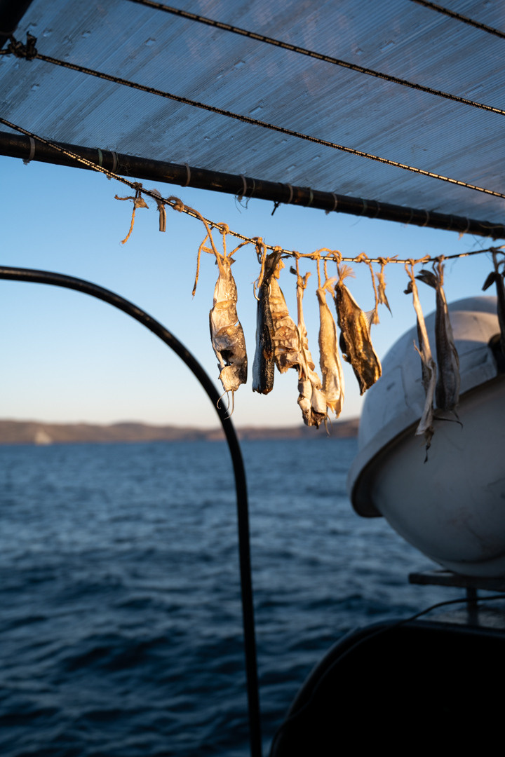ТЕРИБЕРКА СИЯЕТ!. Фотограф в Белграде Чугреева Елена