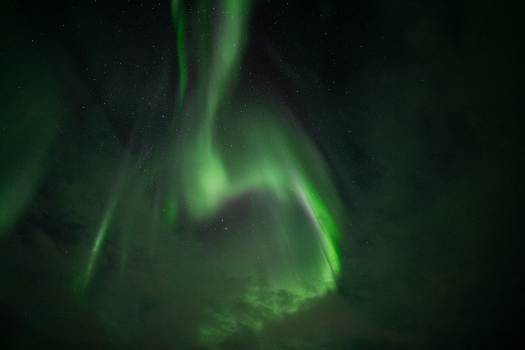 ТЕРИБЕРКА СИЯЕТ!. Фотограф в Белграде Чугреева Елена