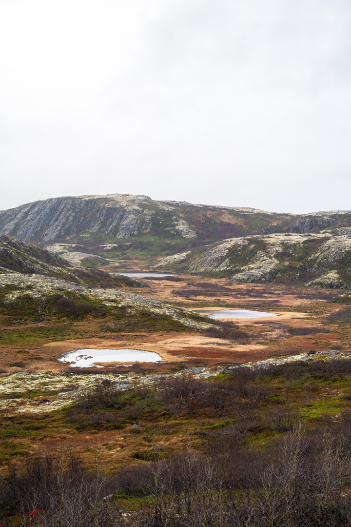 ТЕРИБЕРКА СИЯЕТ!. Фотограф в Белграде Чугреева Елена