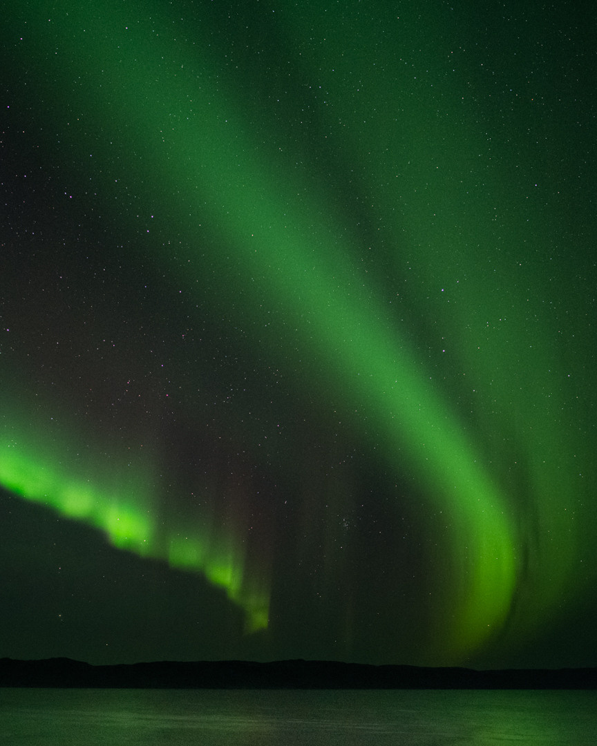 ТЕРИБЕРКА СИЯЕТ!. Фотограф в Белграде Чугреева Елена
