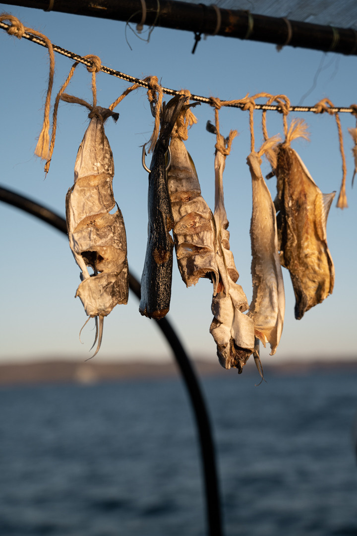 ТЕРИБЕРКА СИЯЕТ!. Фотограф в Белграде Чугреева Елена