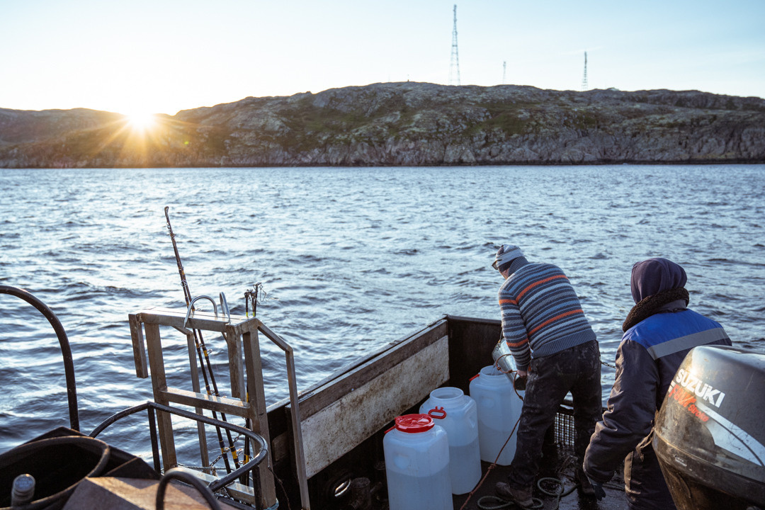 ТЕРИБЕРКА СИЯЕТ!. Фотограф в Белграде Чугреева Елена