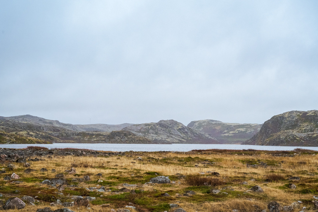 ТЕРИБЕРКА СИЯЕТ!. Фотограф в Белграде Чугреева Елена
