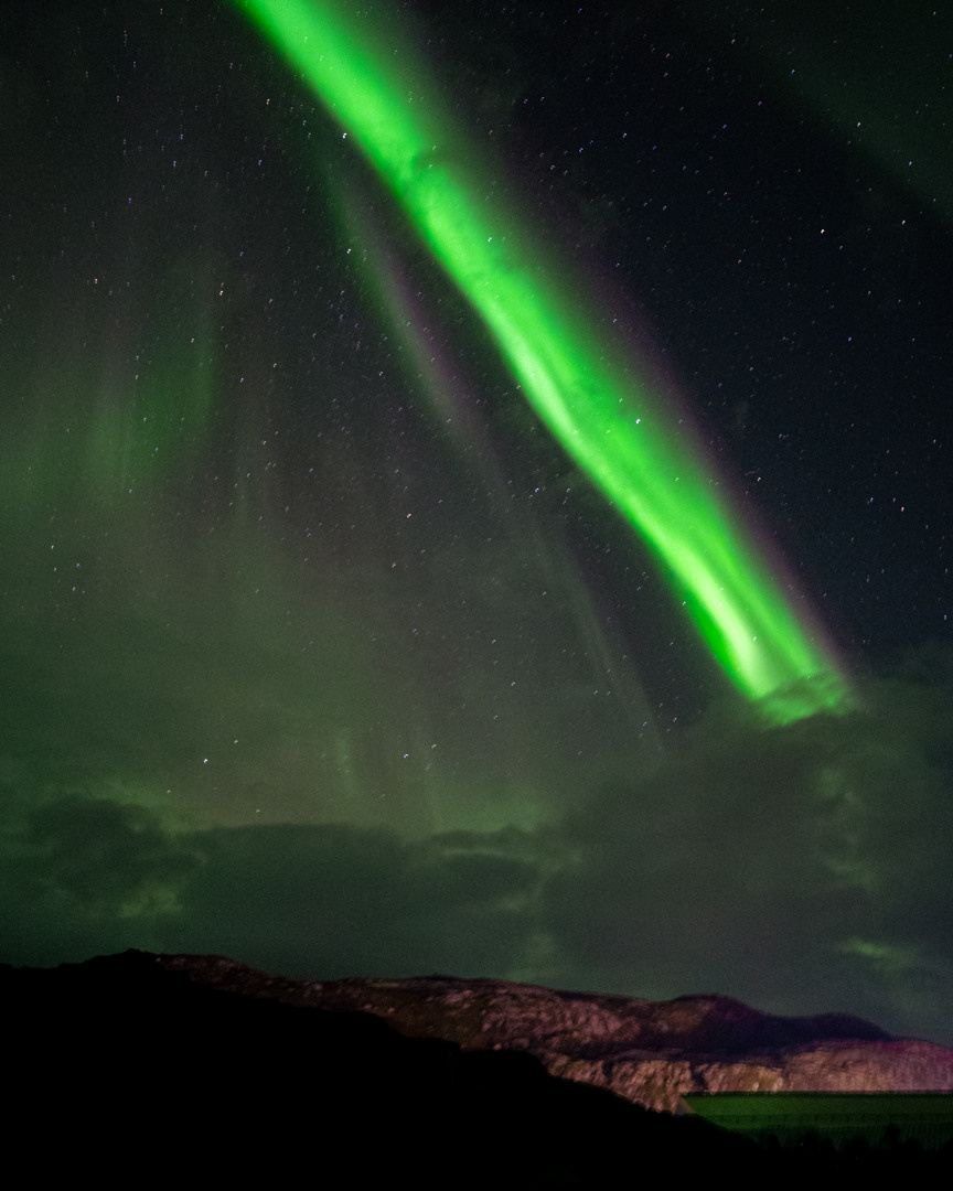 ТЕРИБЕРКА СИЯЕТ!. Фотограф в Белграде Чугреева Елена
