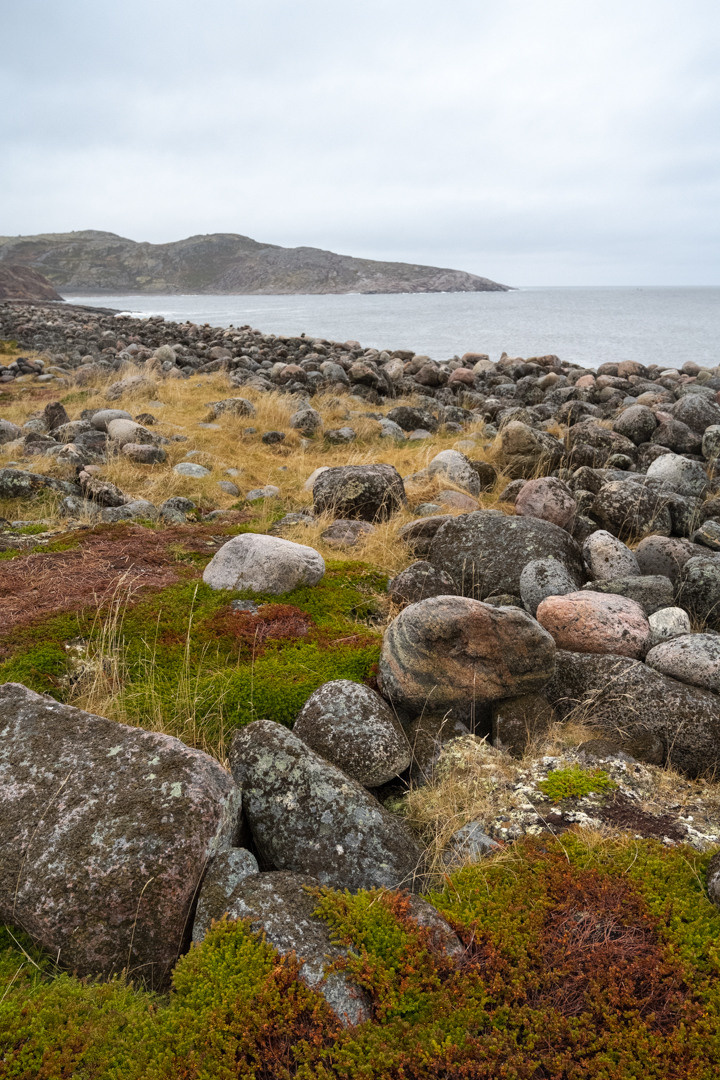 ТЕРИБЕРКА СИЯЕТ!. Фотограф в Белграде Чугреева Елена