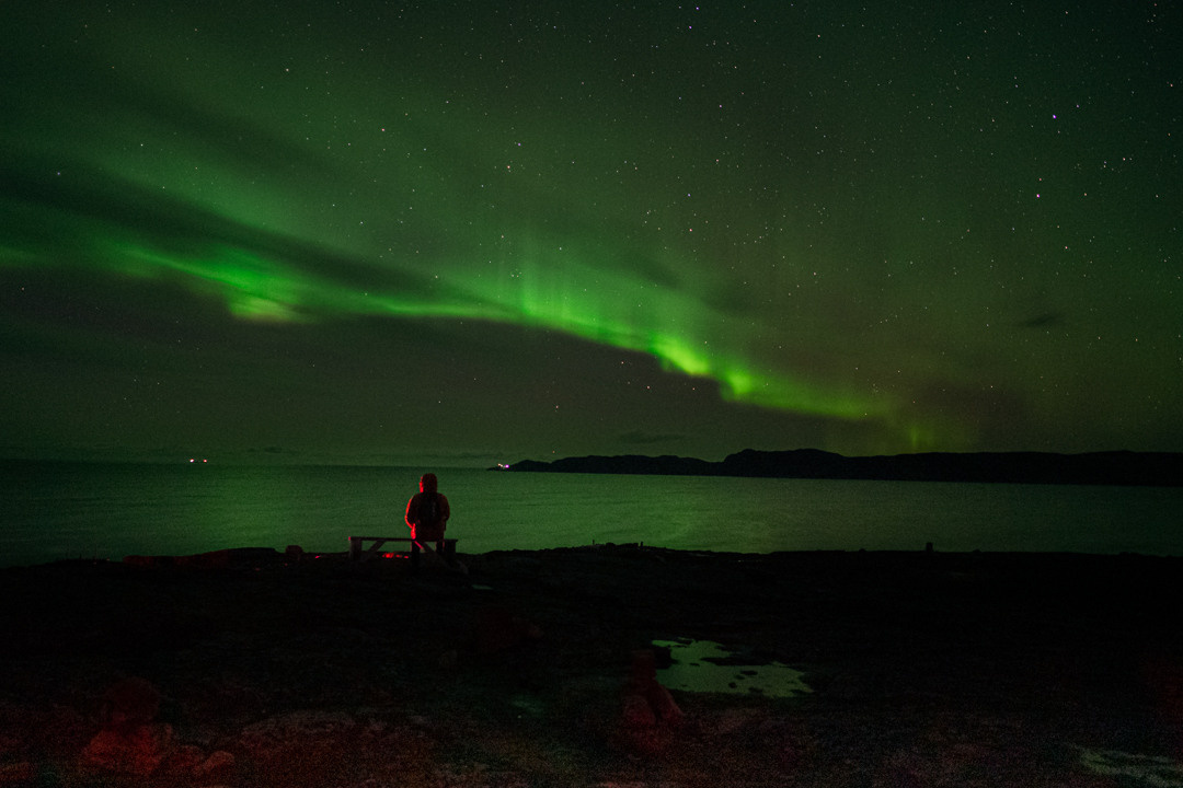 ТЕРИБЕРКА СИЯЕТ!. Фотограф в Белграде Чугреева Елена