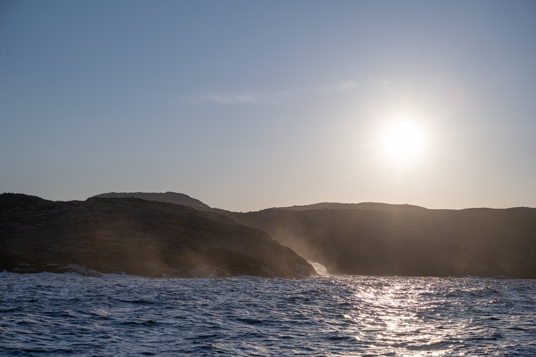 ТЕРИБЕРКА СИЯЕТ!. Фотограф в Белграде Чугреева Елена