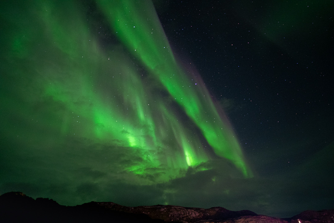 ТЕРИБЕРКА СИЯЕТ!. Фотограф в Белграде Чугреева Елена