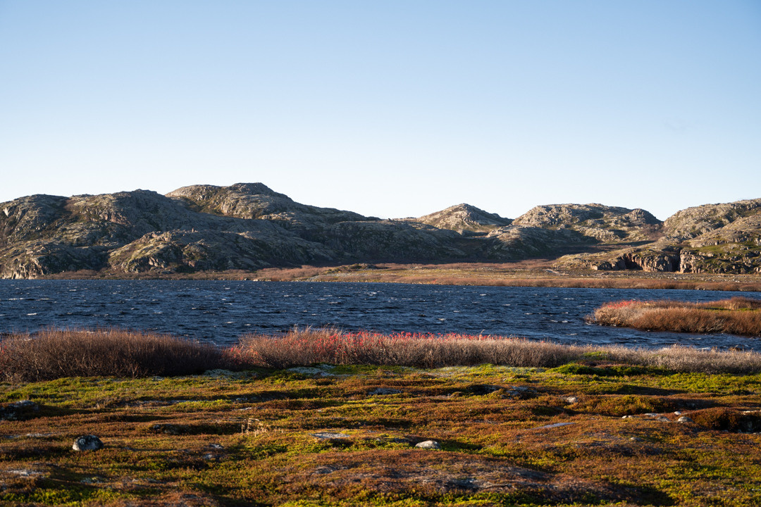 ТЕРИБЕРКА СИЯЕТ!. Фотограф в Белграде Чугреева Елена