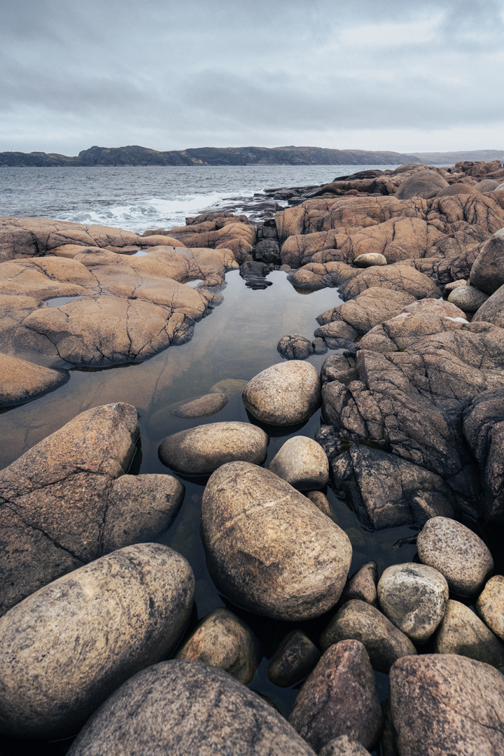 ТЕРИБЕРКА СИЯЕТ!. Фотограф в Белграде Чугреева Елена