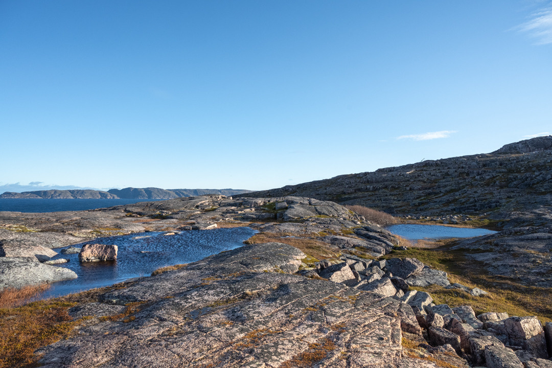 ТЕРИБЕРКА СИЯЕТ!. Фотограф в Белграде Чугреева Елена