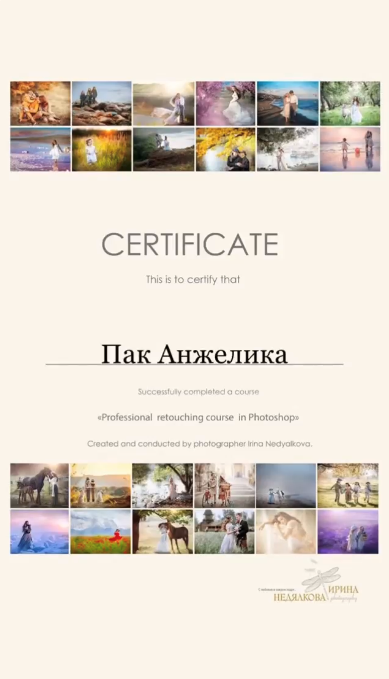 Сертификаты. Фотограф в Корее Фотограф новорождённых Семейный фотограф