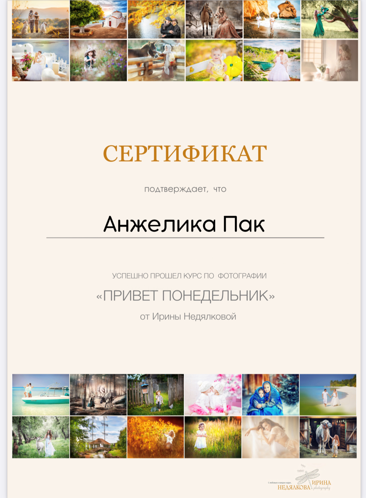 Сертификаты. Фотограф в Корее Фотограф новорождённых Семейный фотограф