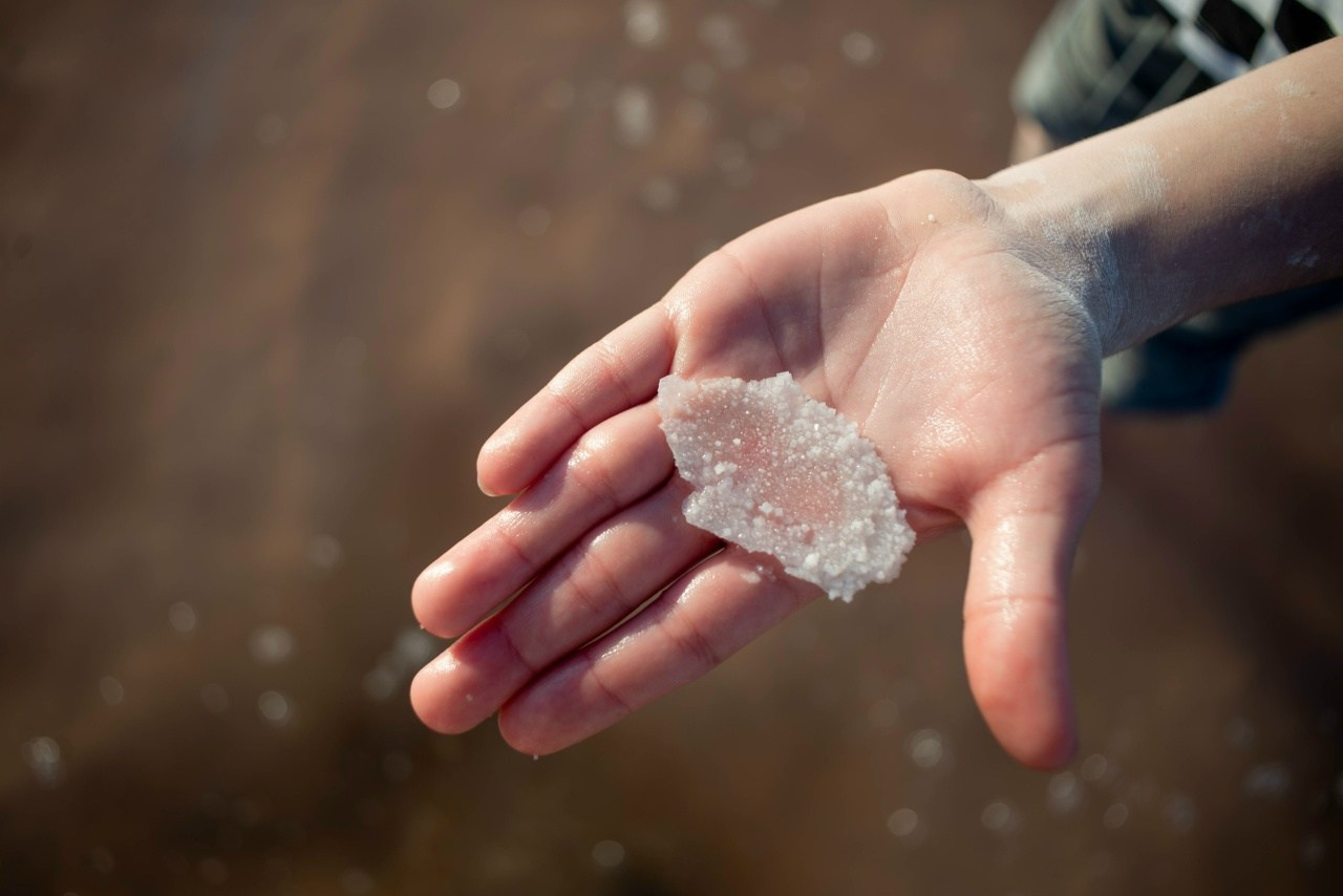 Lake Elton. The Kingdom of Salt. Travel photographer Max Muze