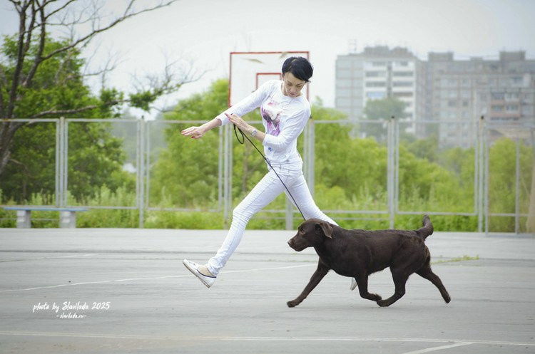 Экстерьерные фото. Slavilada-Лапки. Свет. Любовь… Профессиональная фотосессия питомцев Для памяти, пристройства и продажи. Хабаровск