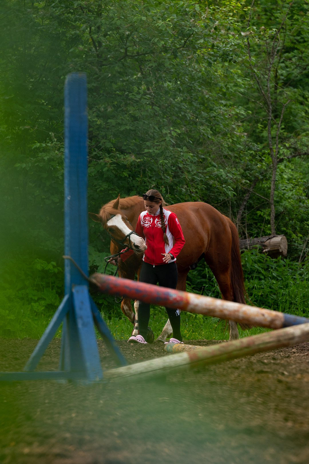 Конюшня. Мир живой фотографии о Вас и для Вас