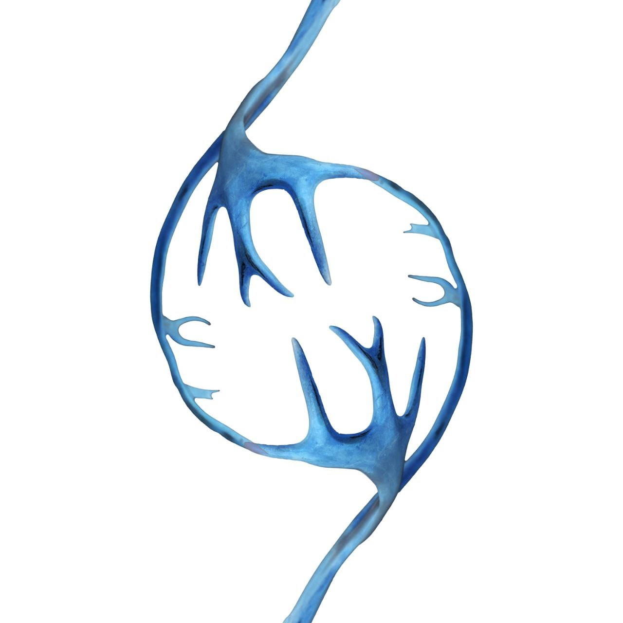 POSTERS. XVVIO PHOTOGRAPHY