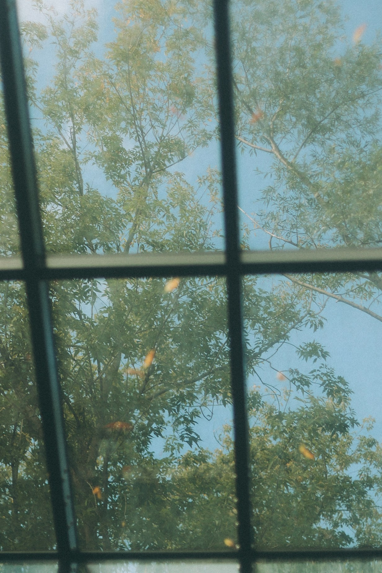Се/реальность. Фотограф Нижний Новгород