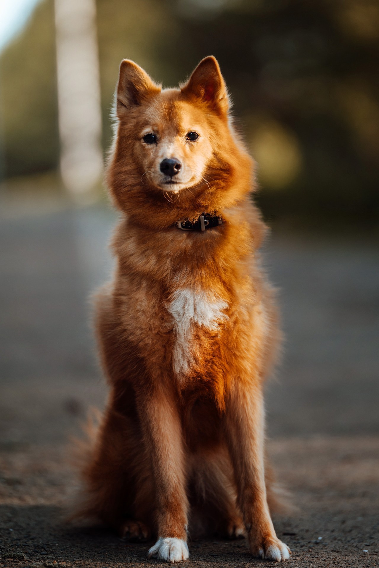 Отзывы. Фотограф Варвара Ермоленко